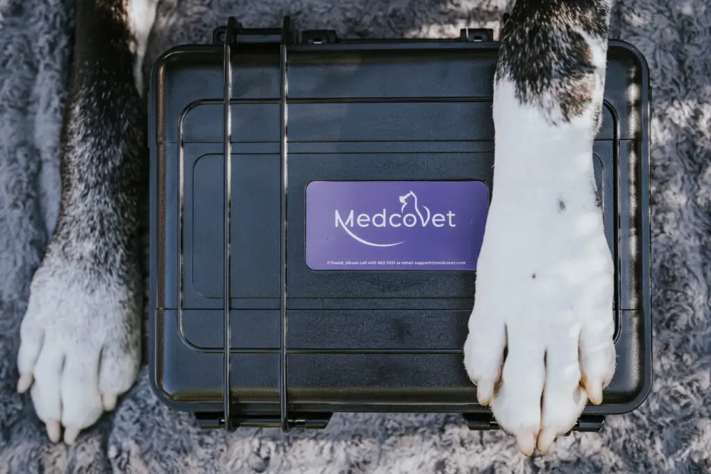 How MedcoVet Is Changing the Veterinary Technology Landscape