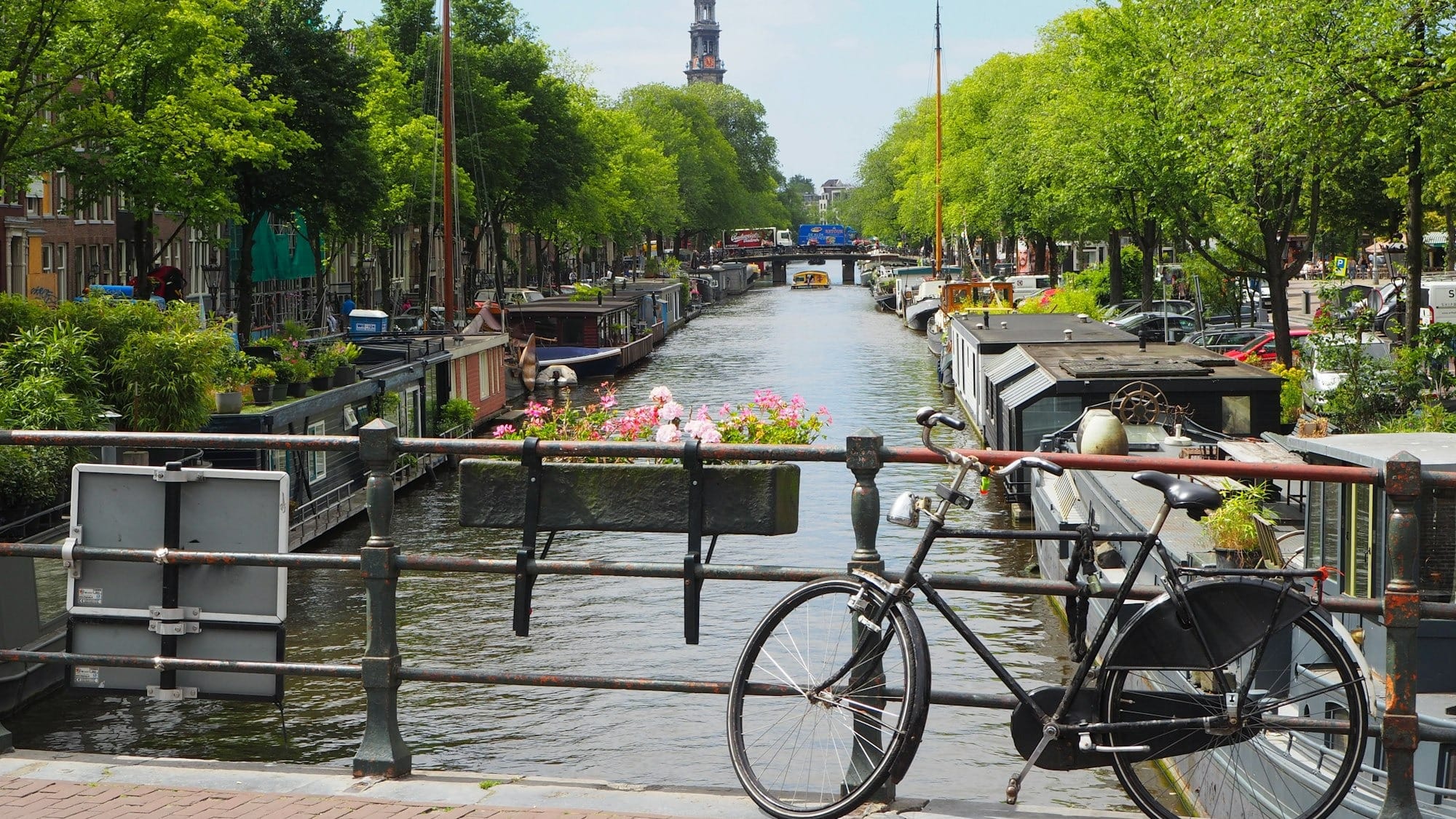 How to move to the Netherlands as a tech professional: The Kennismigrant visa explained