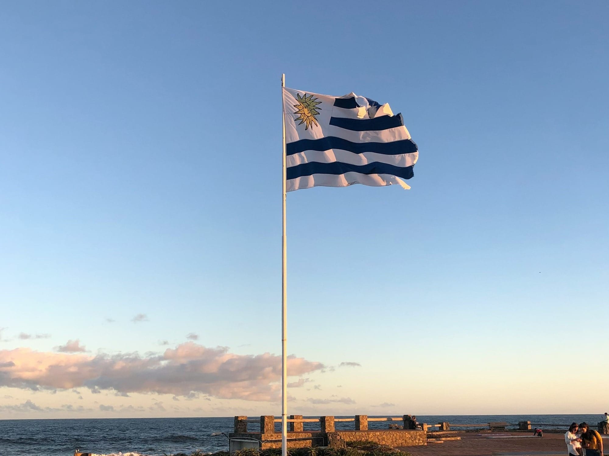 a flag is flying on a pole near the ocean