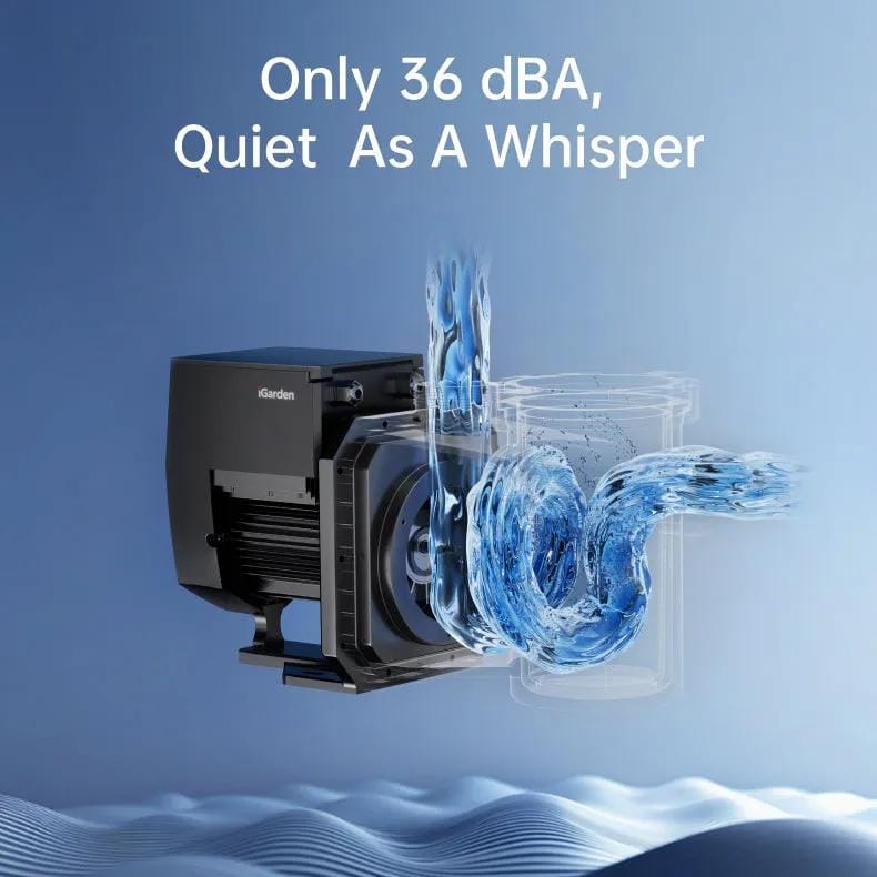 Is Your Pool Pump Safe from Dry Running? post image