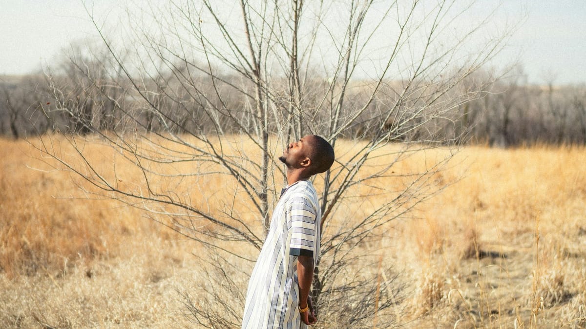 Starlink's Sky-High Success Has Kenya's Safaricom Eyeing a Deal Post feature image