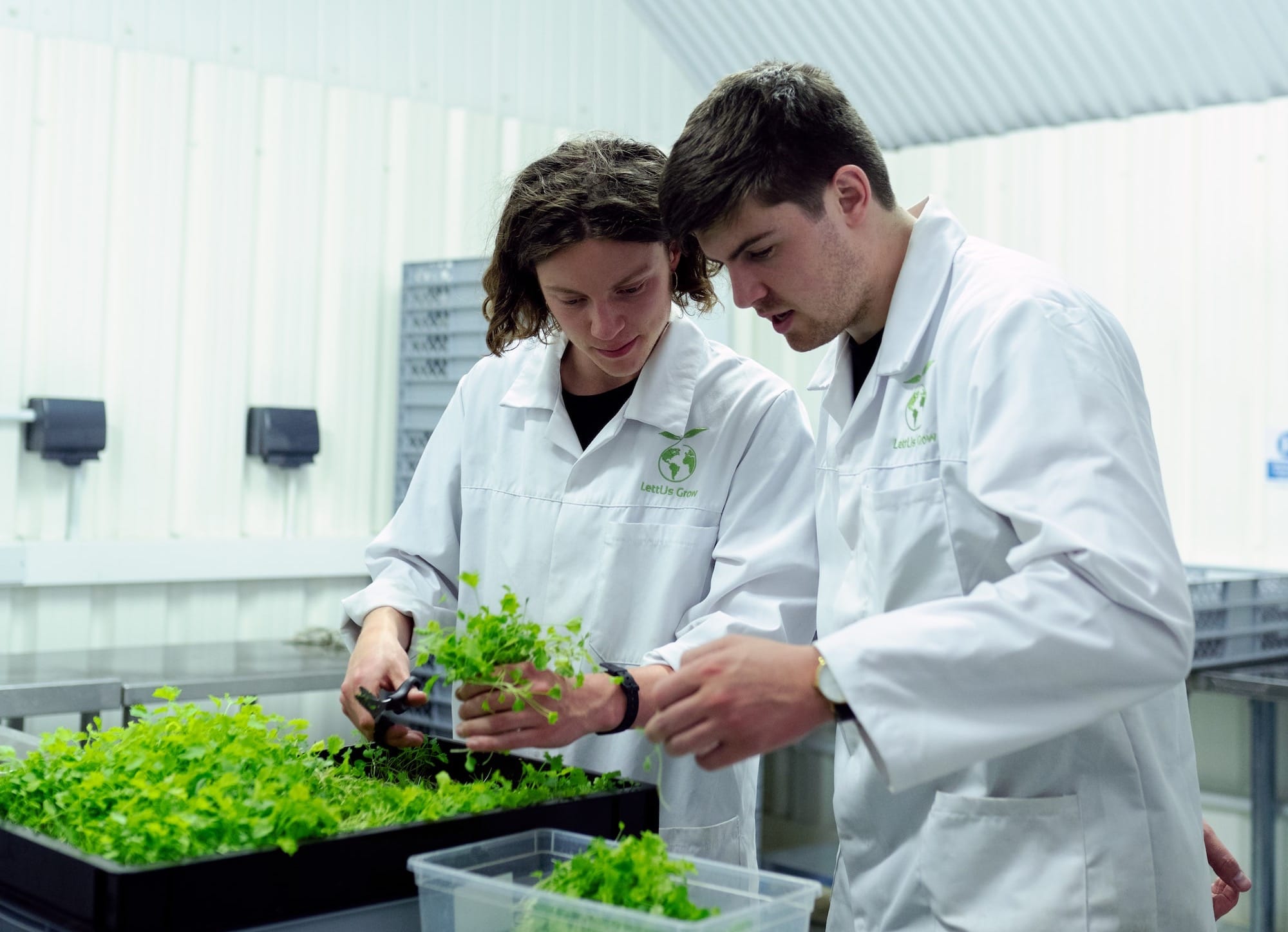 CHART: Indian Agritech Startups Experienced a 45% Funding Decline from FY22 to FY23 Post image