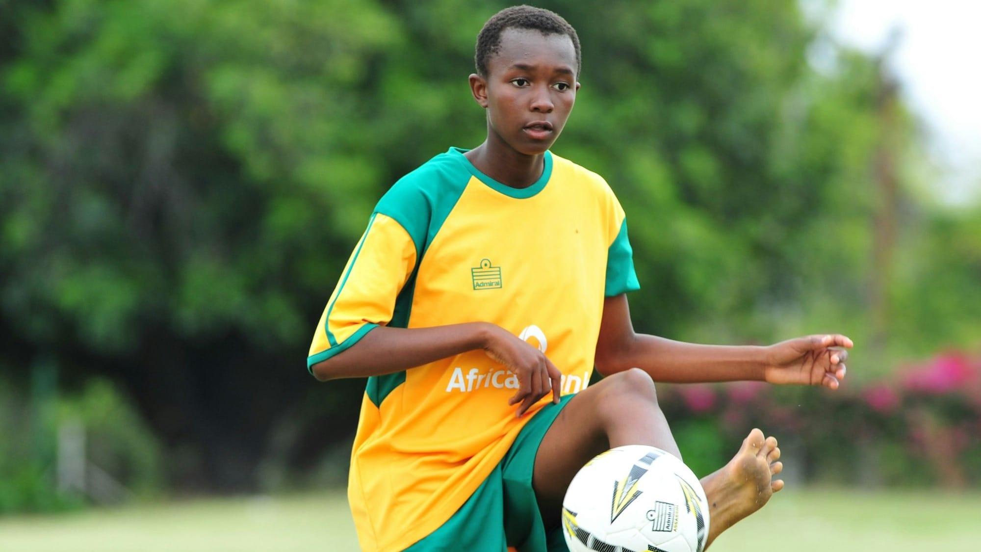 African Football Leagues: The Rise of Domestic Competitions Post image