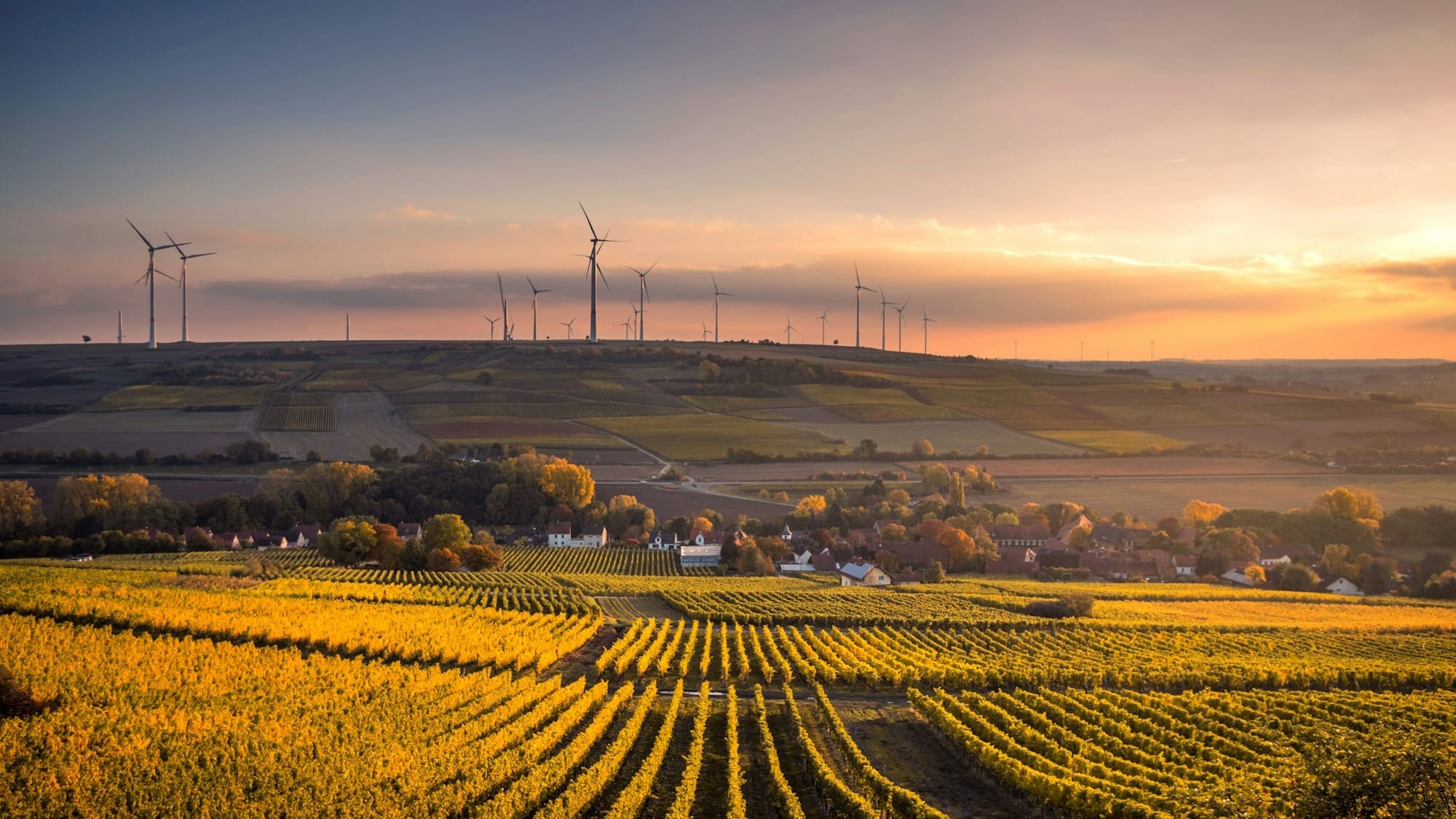 INFOGRAPHIC: Top LatAm Startup Funding — Week 51 Post image