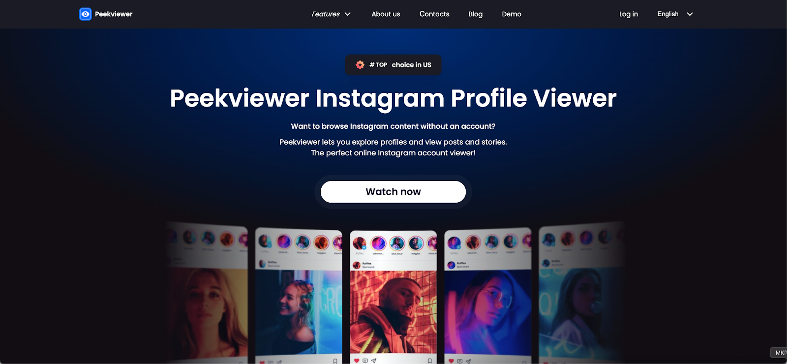 Best Instagram Private Viewer Access (Without Login) Post image