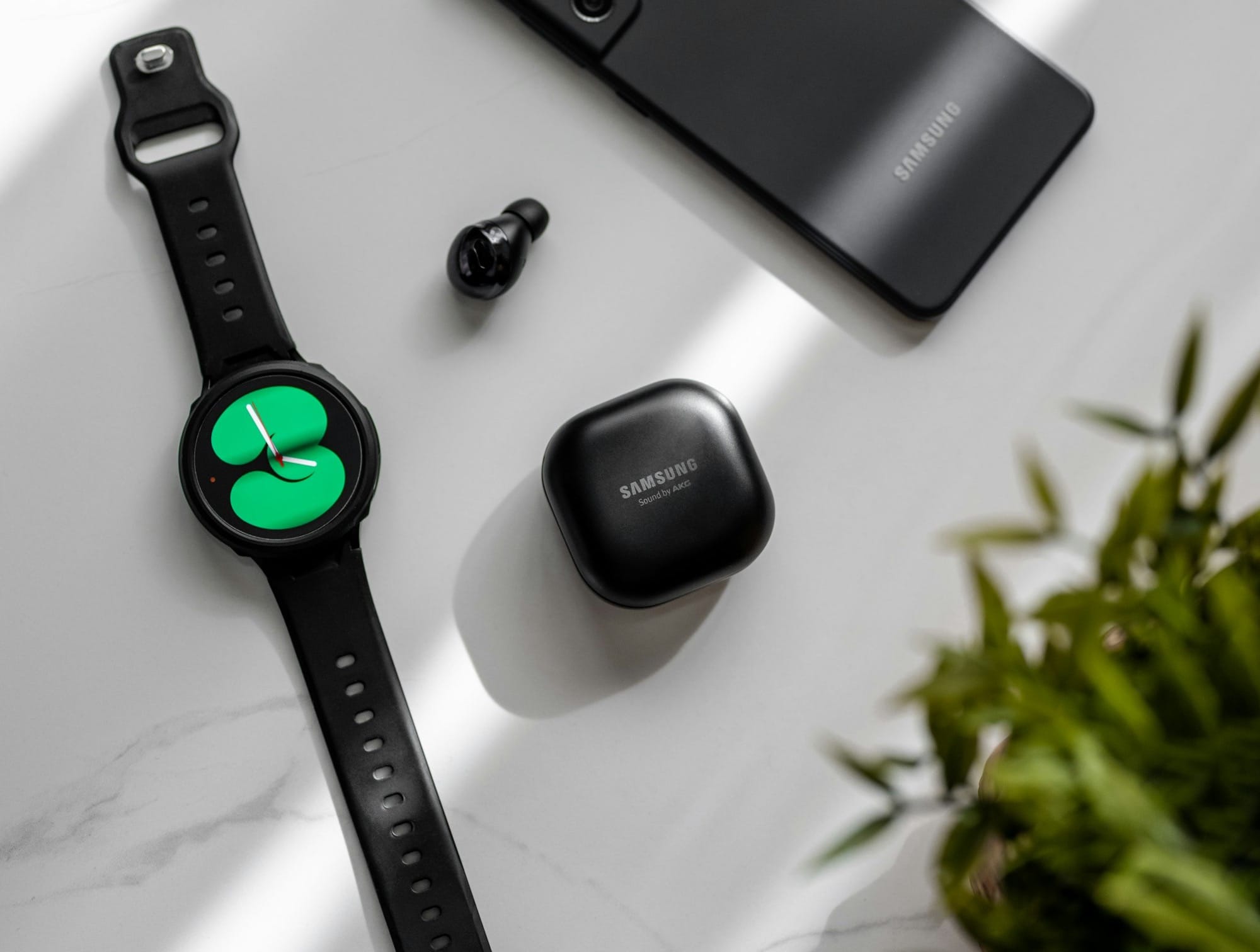 CHART: Worldwide Wearable Device Market in Q1 2024 Post image