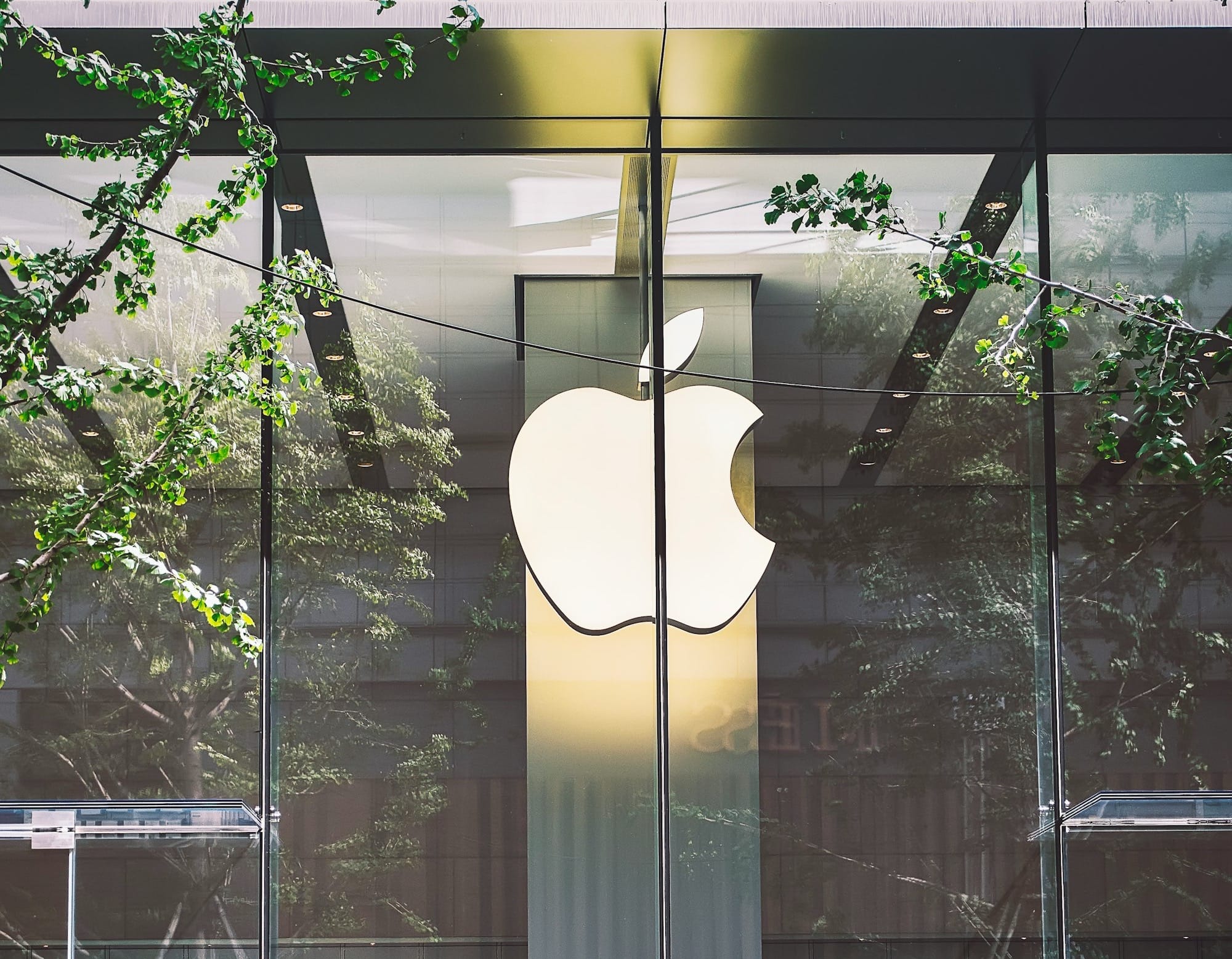 CHART: Apple posts record revenue in Q3 FY24 despite iPhone sales decline Post image