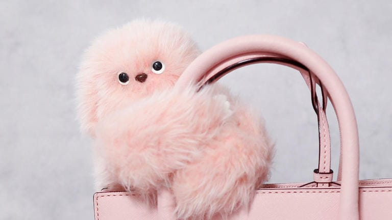 The most intriguing tech products from CES 2025 — even for our furry friends Post image